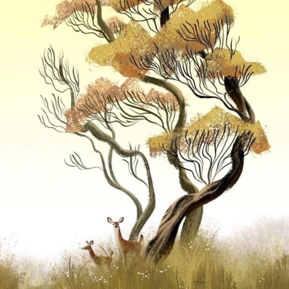 Meet your Posher, Drake - Picture 1 of 1